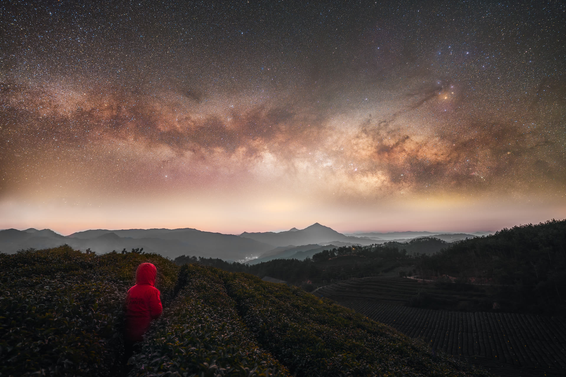 STAR · 追光者