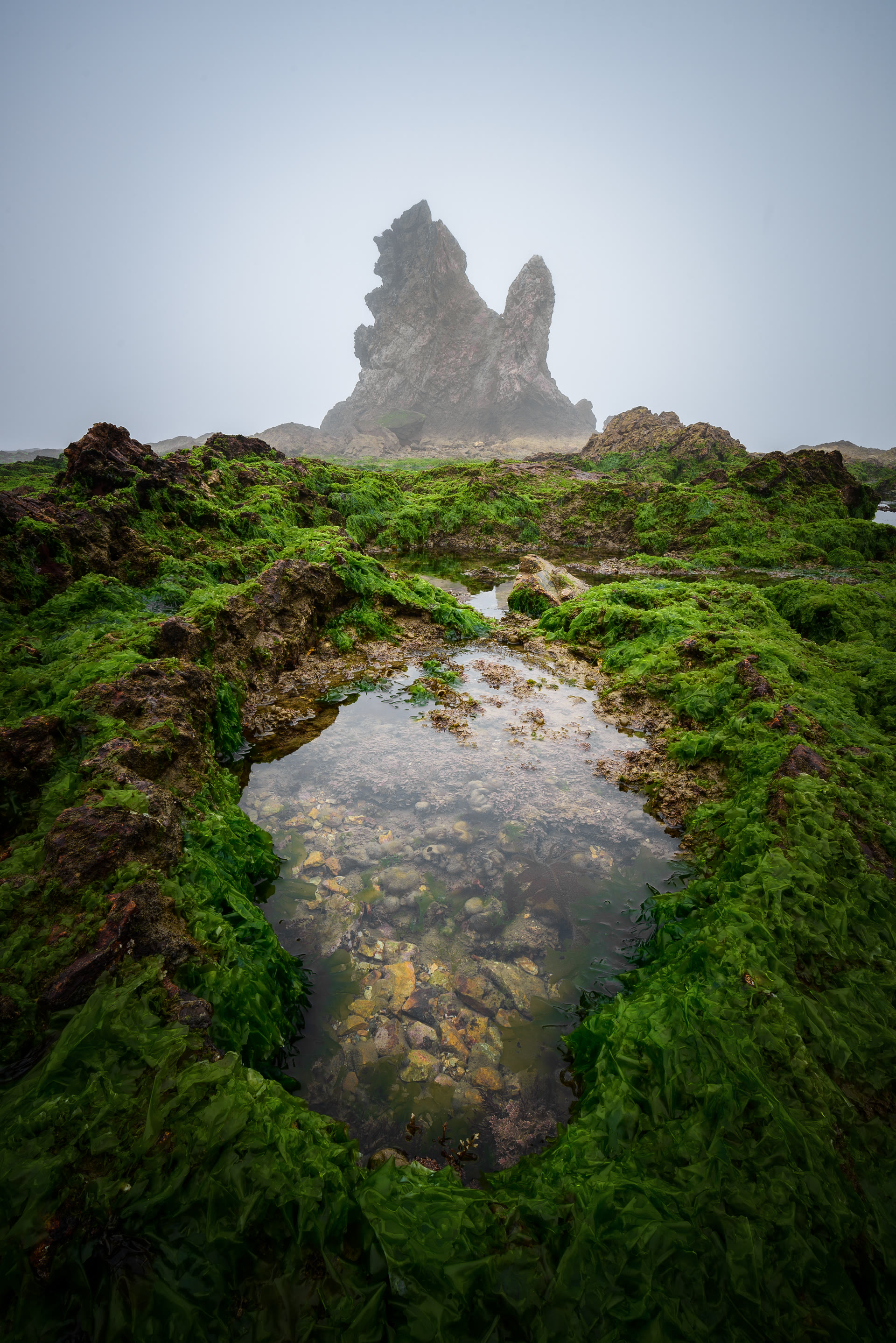 海洋 01