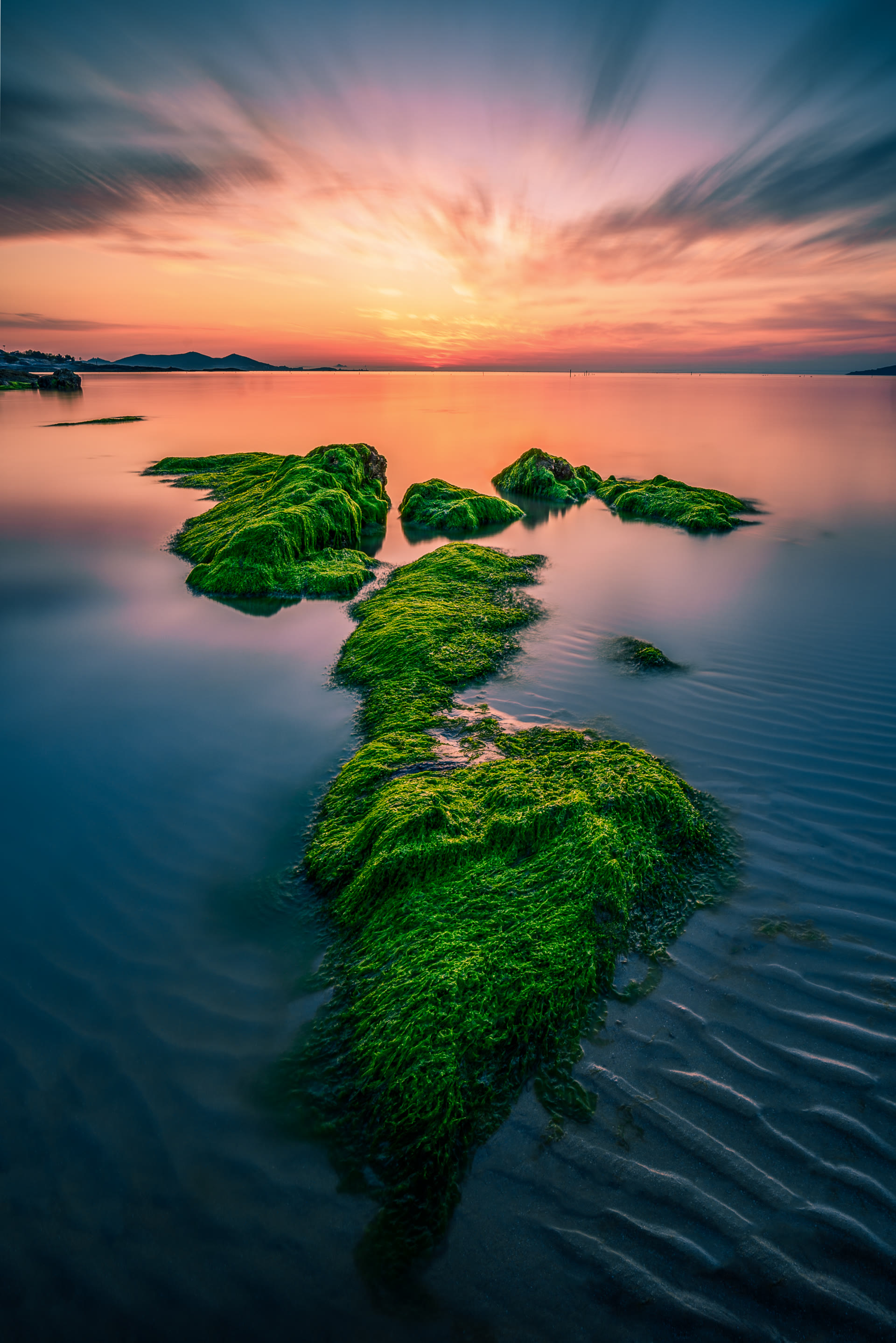 海洋 03
