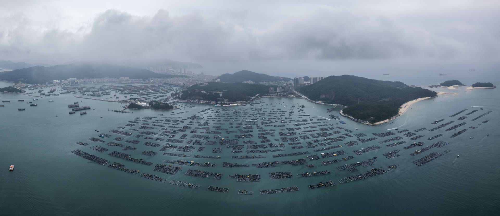 海洋 12